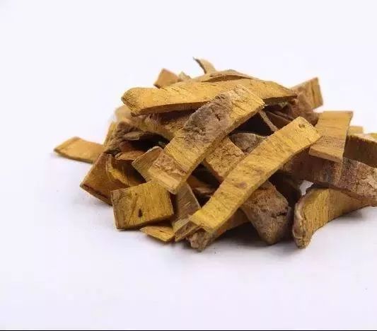 每日一味中药丨黄柏