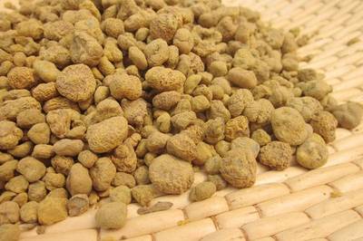 探秘浙江道地药材瑰宝——详解“浙八味”及其药用价值