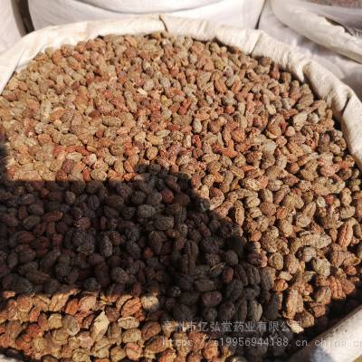 探秘道地药材阳春砂仁 功效、价值与市场价格浅析