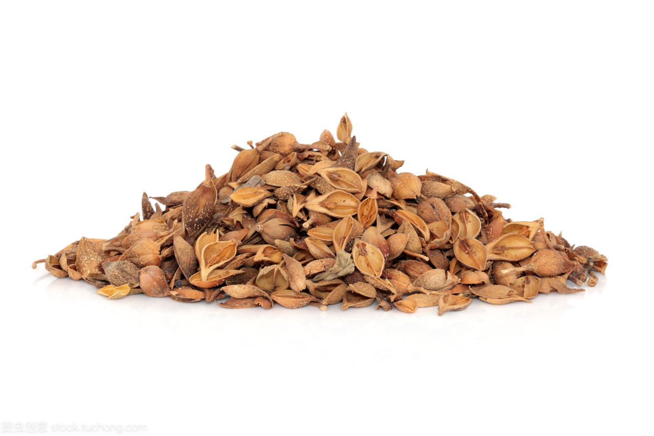 连翘 集水果之形与草本之效的珍贵中药材